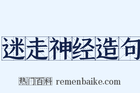 迷走神经造句是什么意思的图片